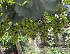 赛后阿贾克斯备战法甲集结日本菲卡调整名单以备国王杯,风云突变山东男篮清晨内部沟通直接炸裂 赛后阿贾克斯备战法甲集结日本菲卡调整名单以备国王杯,风云突变山东男篮清晨内部沟通直接炸裂